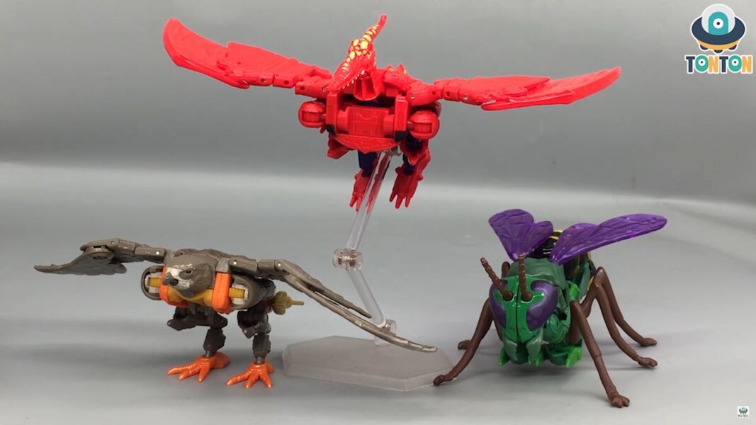 Transformers Legacy Terrorsaur Beast Wars Toy Colors In Hand Image  (17 of 28)
